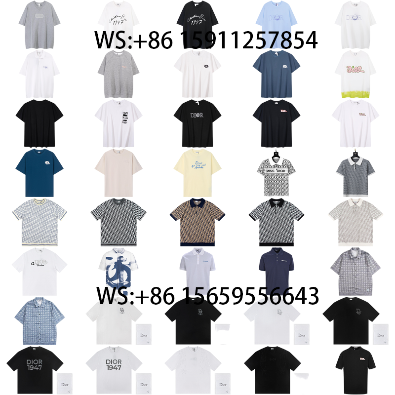 Dior T-Shirts(539)