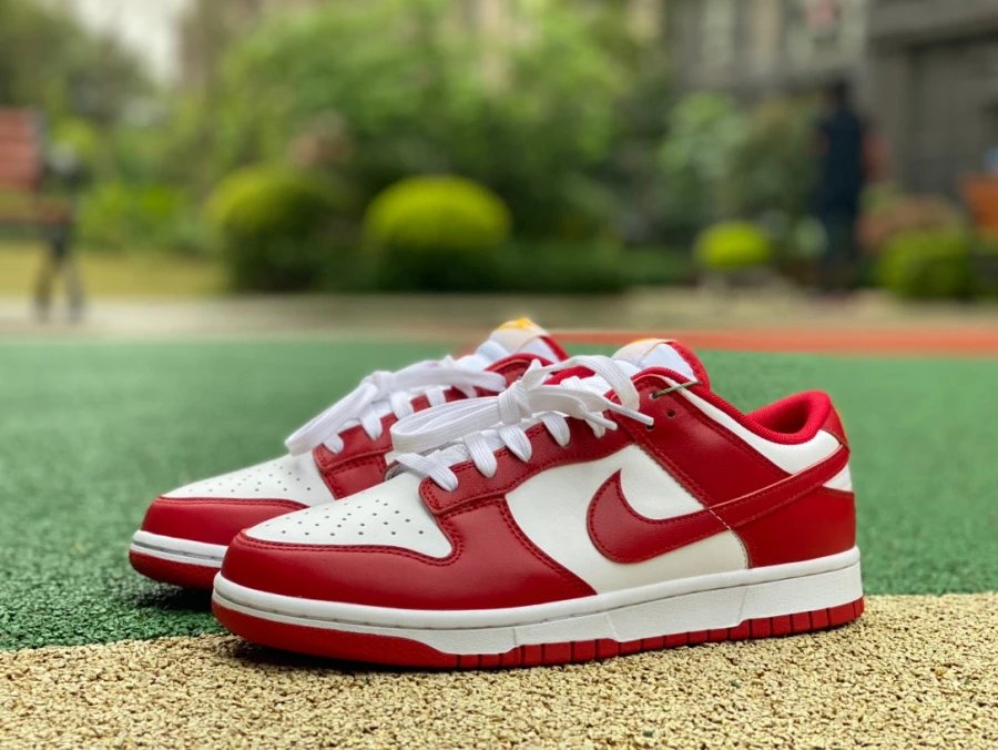 Jordan 1 Low SB