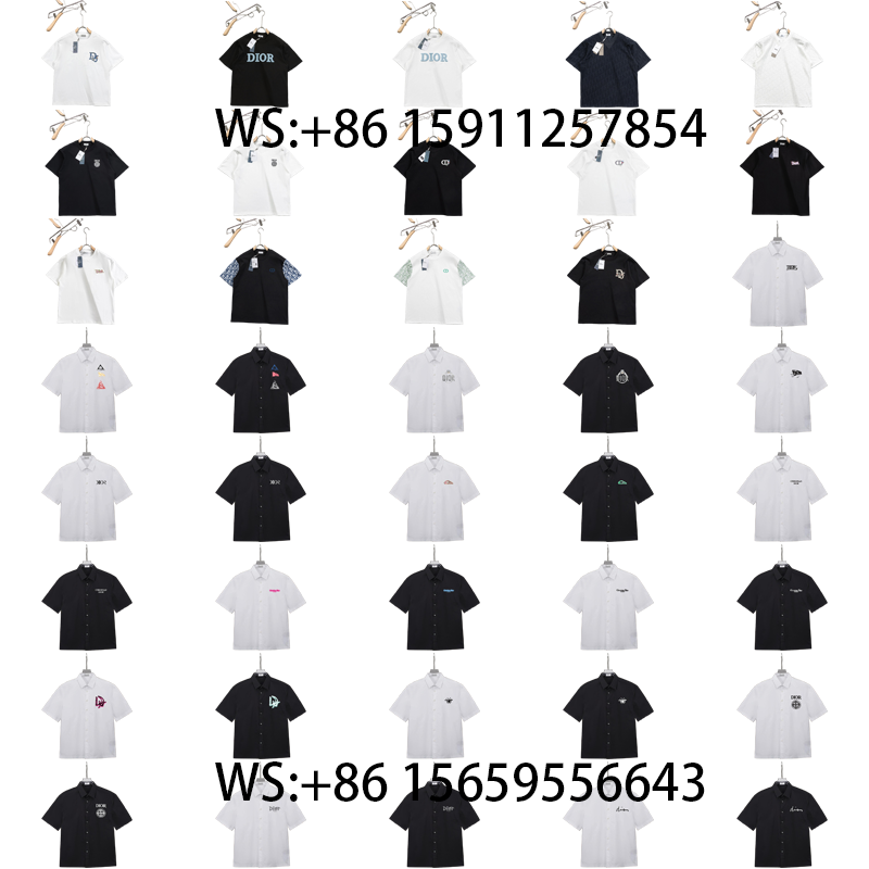 Dior T-Shirts(546)