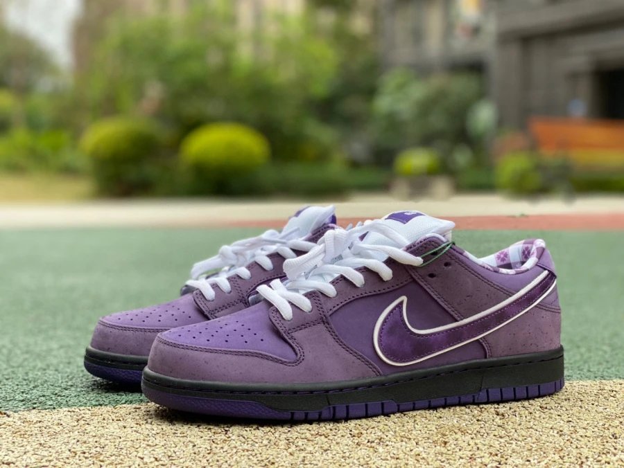 Nike SB Dunk Low Pro