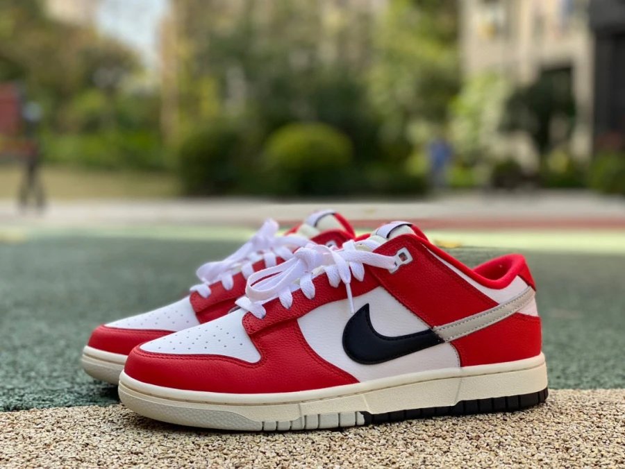 Nike SB Dunk Low Pro