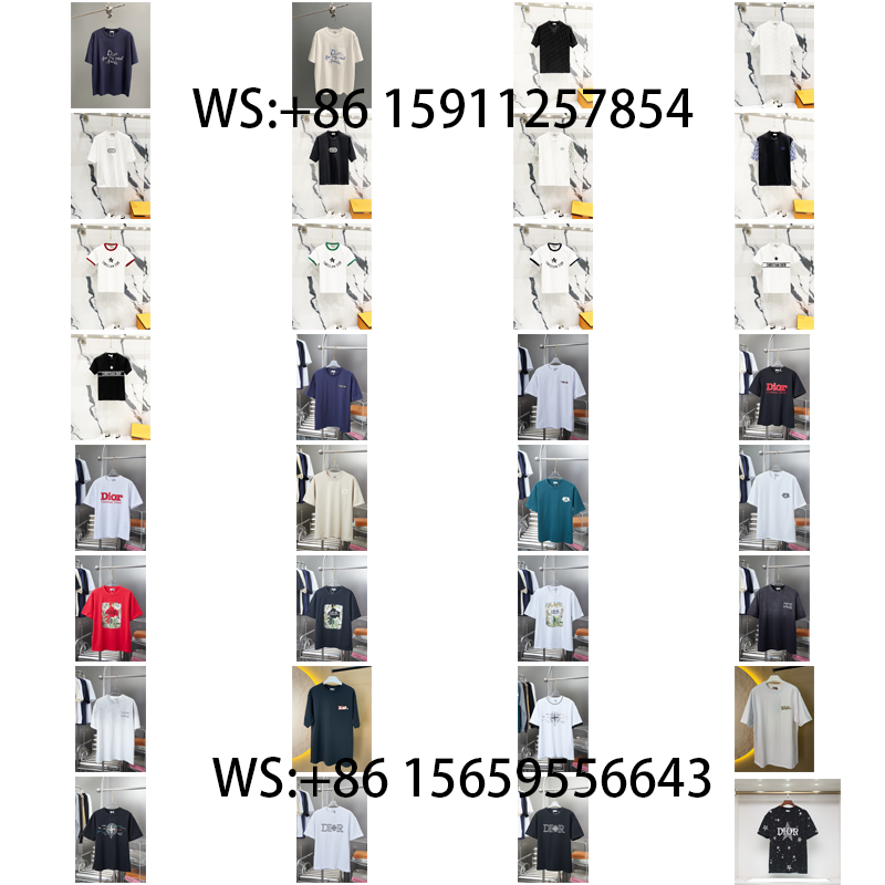 Dior T-Shirts(541)