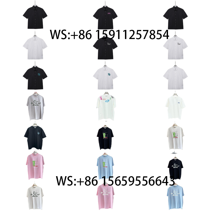 Dior T-Shirts(547)