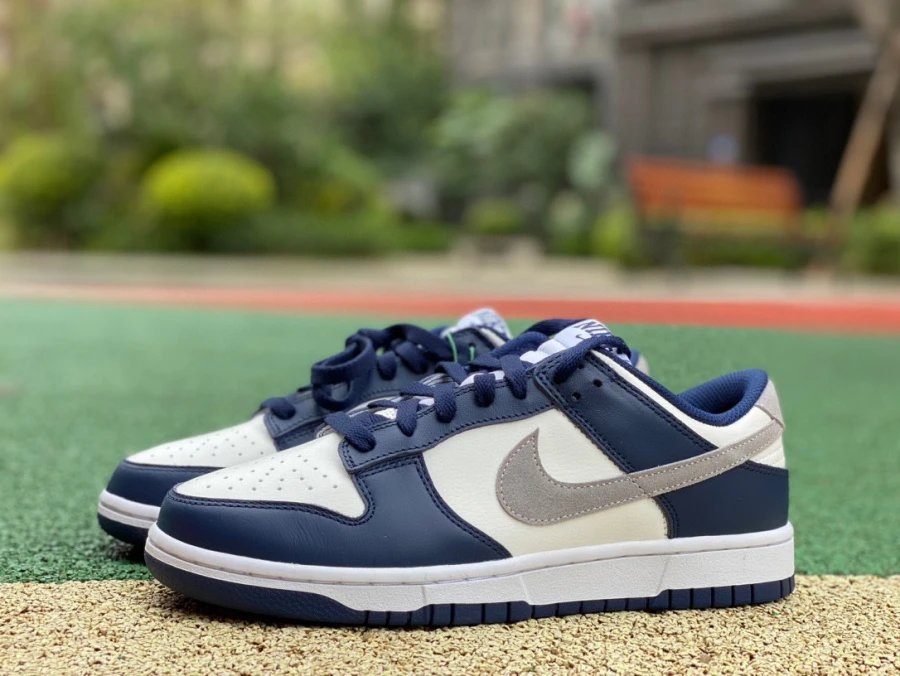 Nike SB Dunk Low Pro