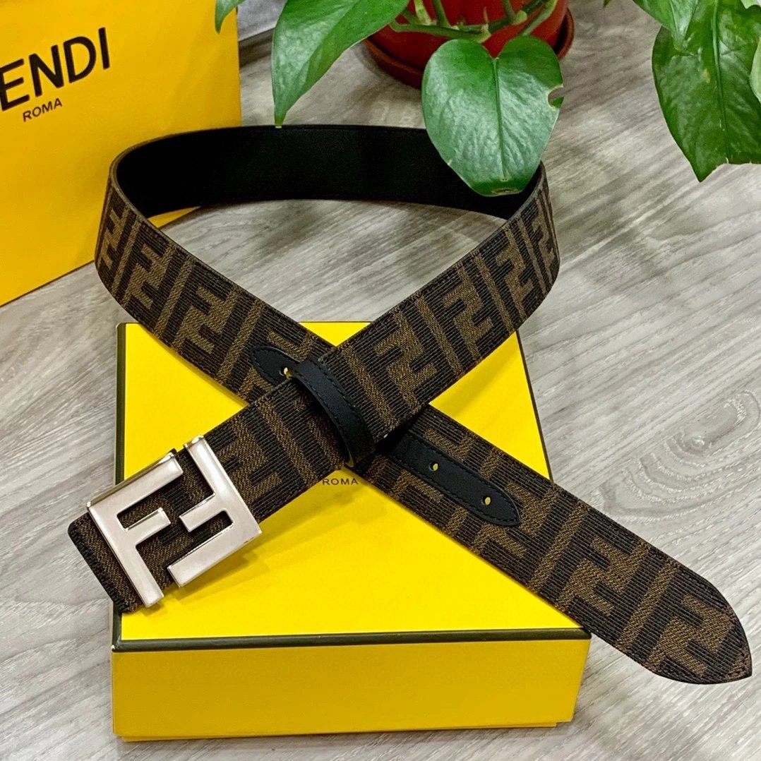 Fendi Dior...Belt