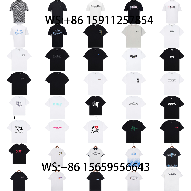 Dior T-Shirts(540)