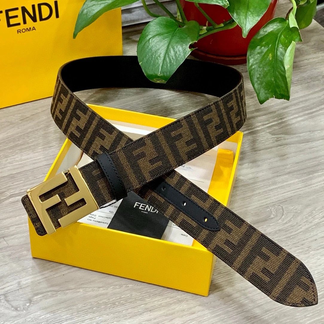 Fendi Dior...Belt