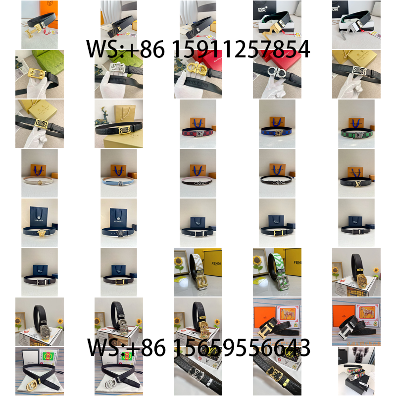 Hermès Louis Vuitton.... Belt（65）