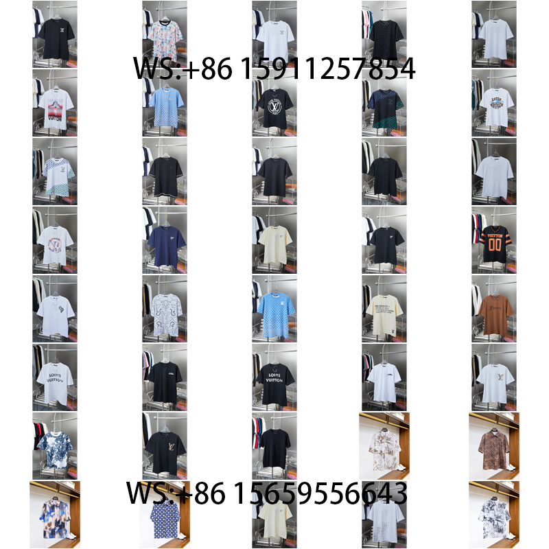 LouisVuitton T-Shirts（313)