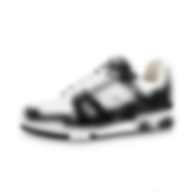 Louis Vuitton Trainers