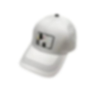 LV Hat