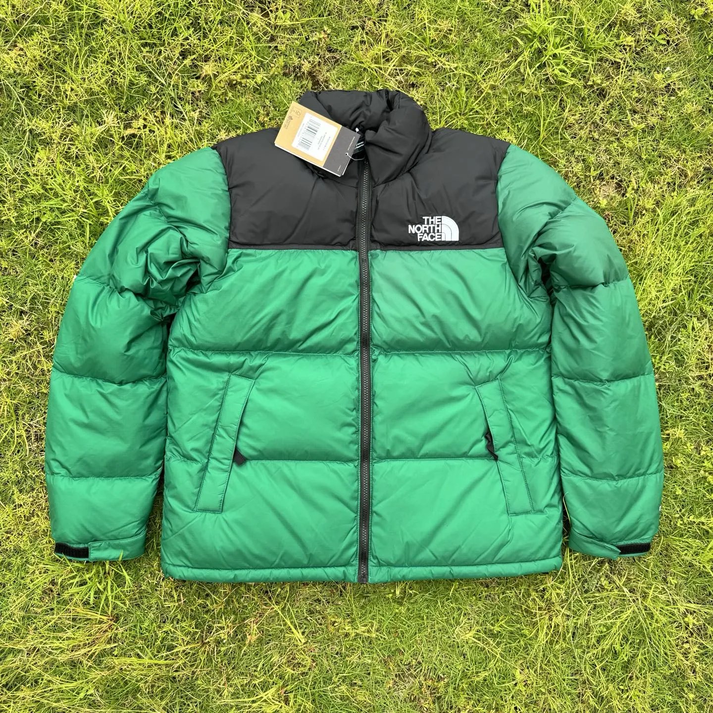 dark green