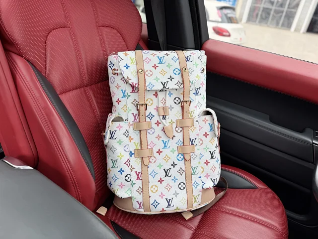 Louis Vuitton Backpacks Monogram and Damier Check Backpack Styles product detail image 27