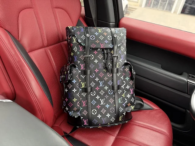 Louis Vuitton Backpacks Monogram and Damier Check Backpack Styles product detail image 29