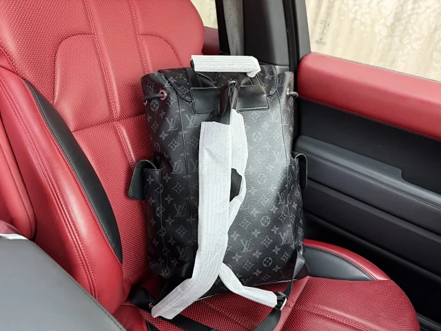 Louis Vuitton Backpacks Monogram and Damier Check Backpack Styles product detail image 20