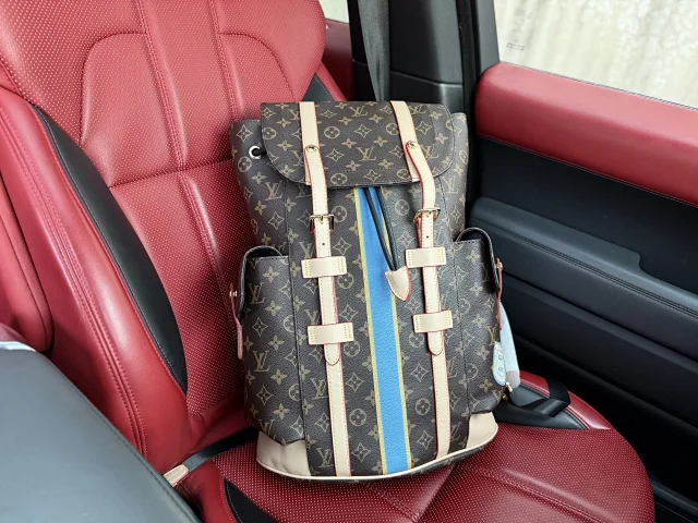 Louis Vuitton Backpacks Monogram and Damier Check Backpack Styles product detail image 17