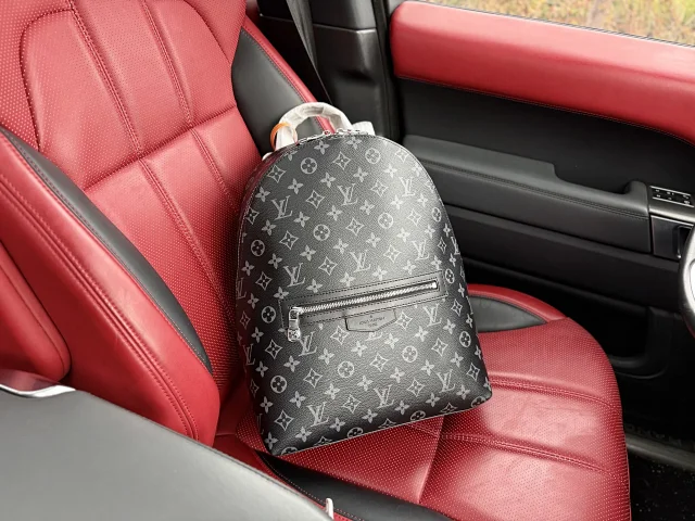 Louis Vuitton Backpacks Monogram and Damier Check Backpack Styles product detail image 25