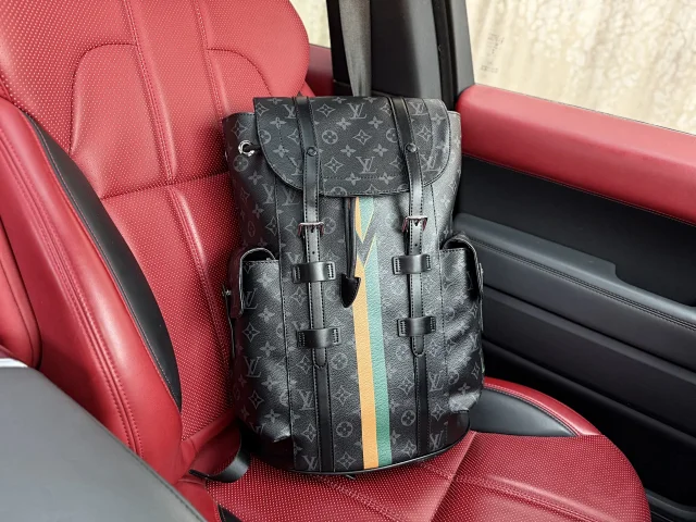 Louis Vuitton Backpacks Monogram and Damier Check Backpack Styles product detail image 19