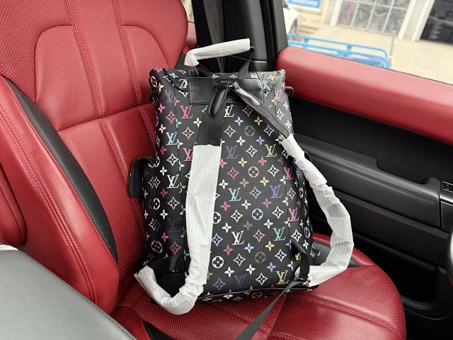 Louis Vuitton Backpacks Monogram and Damier Check Backpack Styles product detail image 30