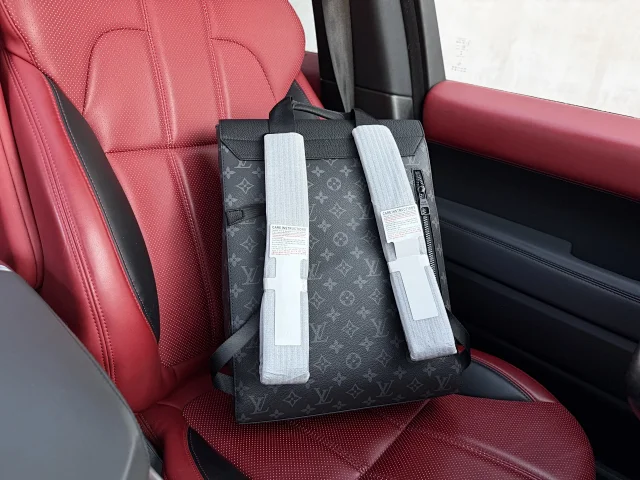 Louis Vuitton Backpacks Monogram and Damier Check Backpack Styles product detail image 40