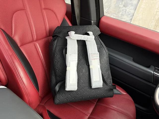 Louis Vuitton Backpacks Monogram and Damier Check Backpack Styles product detail image 8