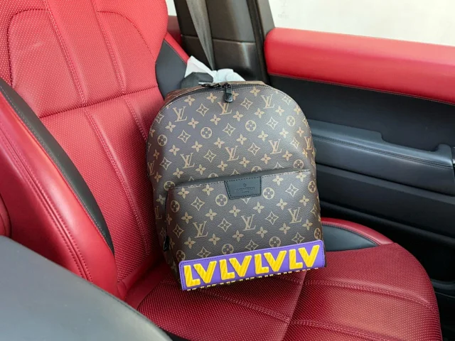 Louis Vuitton Backpacks Monogram and Damier Check Backpack Styles product detail image 45