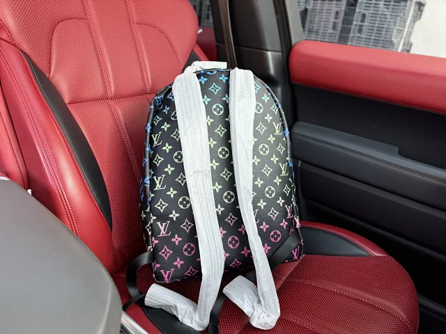 Louis Vuitton Backpacks Monogram and Damier Check Backpack Styles product detail image 22