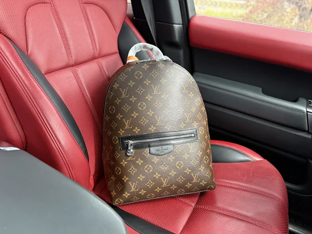Louis Vuitton Backpacks Monogram and Damier Check Backpack Styles product detail image 26
