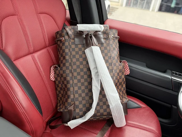 Louis Vuitton Backpacks Monogram and Damier Check Backpack Styles product detail image 32