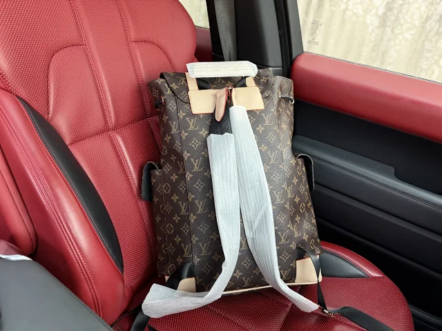 Louis Vuitton Backpacks Monogram and Damier Check Backpack Styles product detail image 18