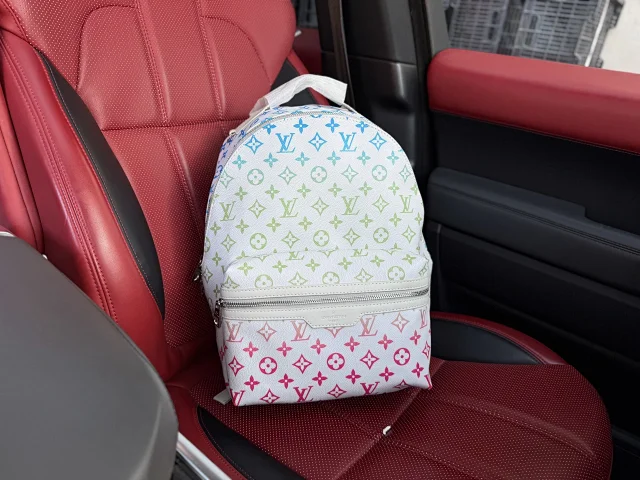 Louis Vuitton Backpacks Monogram and Damier Check Backpack Styles product detail image 23