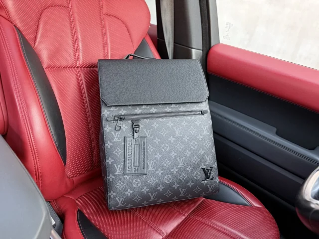 Louis Vuitton Backpacks Monogram and Damier Check Backpack Styles product detail image 39