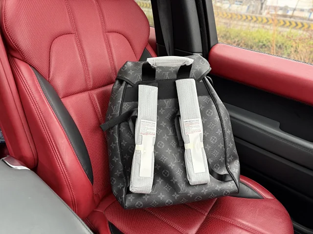Louis Vuitton Backpacks Monogram and Damier Check Backpack Styles product detail image 12