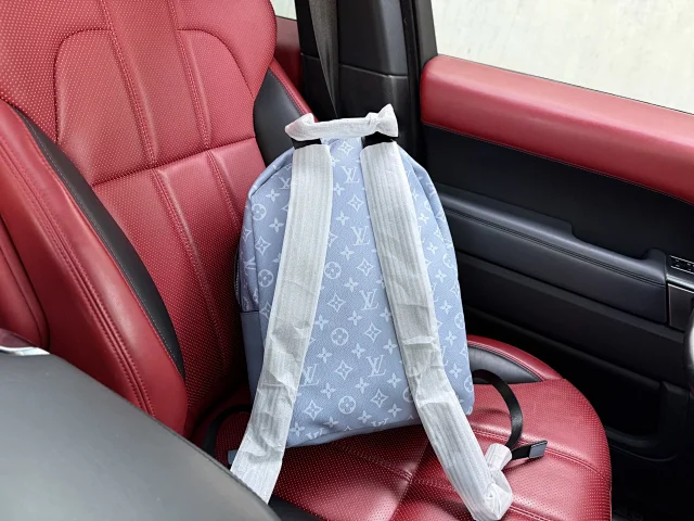 Louis Vuitton Backpacks Monogram and Damier Check Backpack Styles product detail image 6