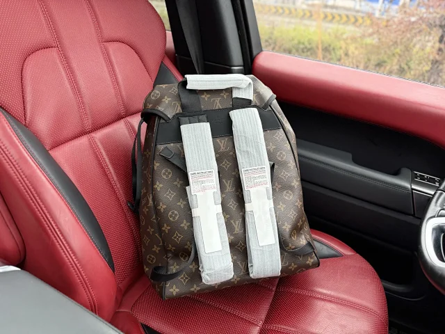 Louis Vuitton Backpacks Monogram and Damier Check Backpack Styles product detail image 14