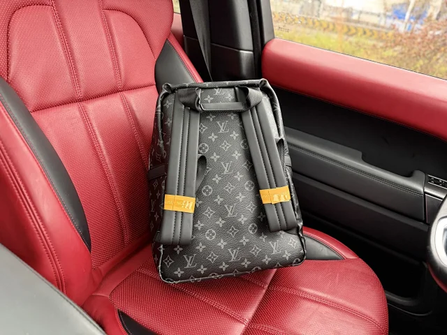 Louis Vuitton Backpacks Monogram and Damier Check Backpack Styles product detail image 16