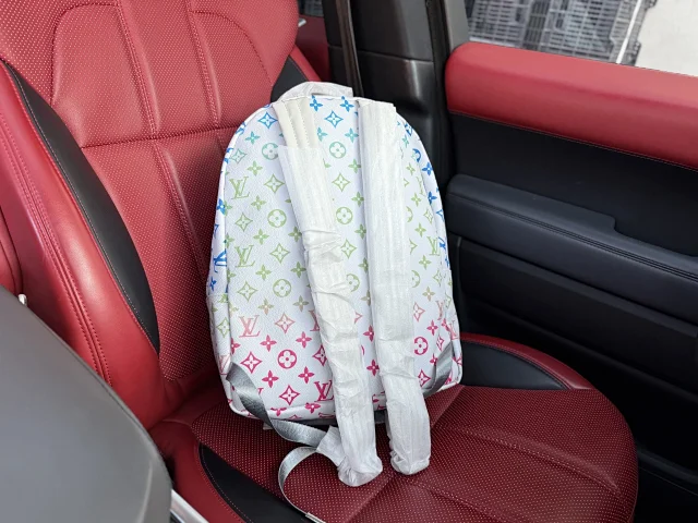 Louis Vuitton Backpacks Monogram and Damier Check Backpack Styles product detail image 24