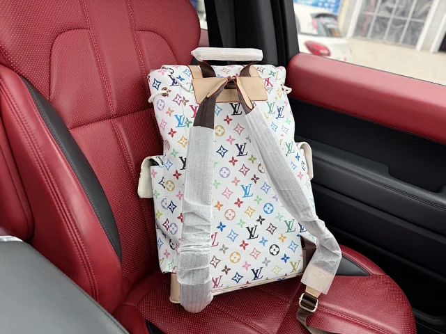 Louis Vuitton Backpacks Monogram and Damier Check Backpack Styles product detail image 28