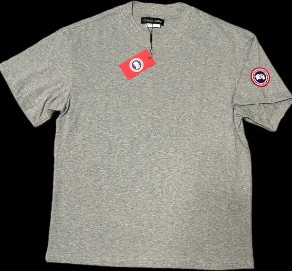 Canada Goose Arctic Program T-Shirt Gray - 1