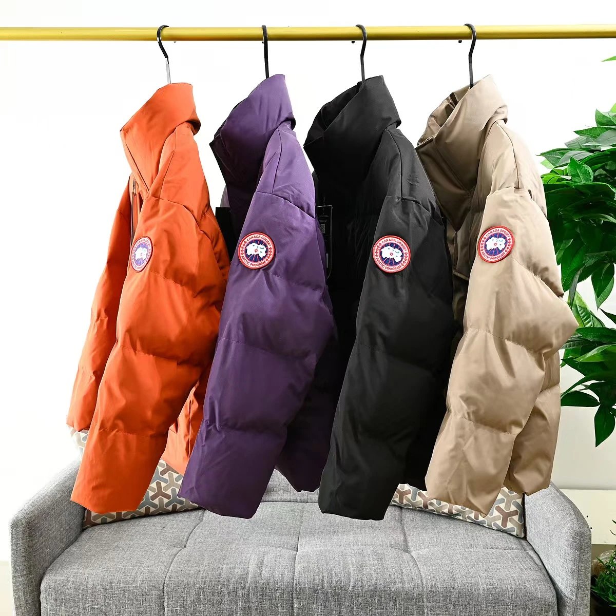 [DX52-4] Winter new stand collar wool cotton-padded short bread cotton-padded jacket