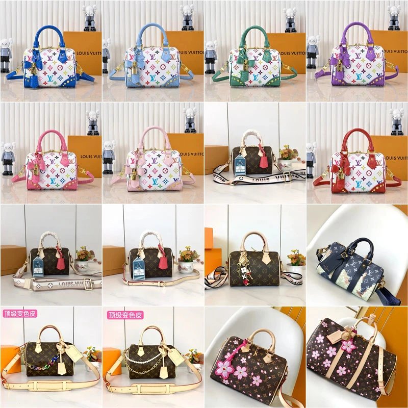 Louis Vuitton Speedy Bag [22 s