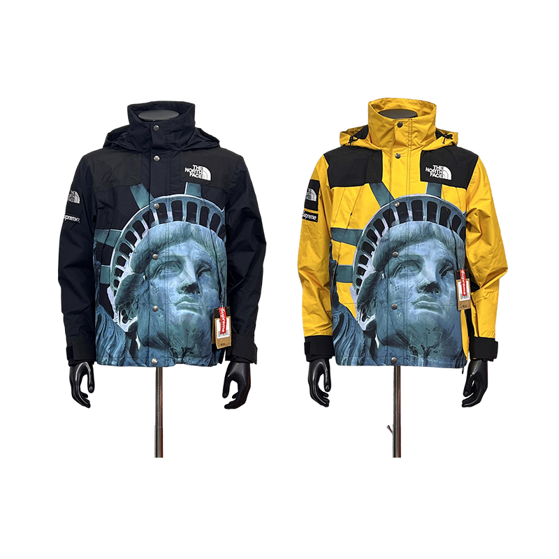 Supreme x The North Face Statu