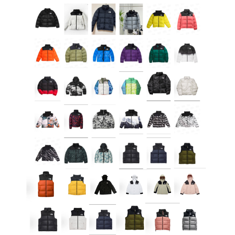 The North Face Nuptse Jacket [