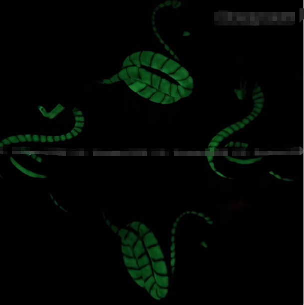 1:1 Batch necklace-167