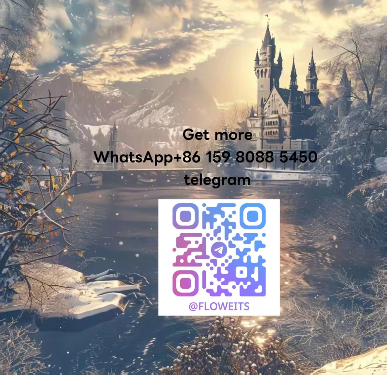 Please contact：+86 159 8088 5450
