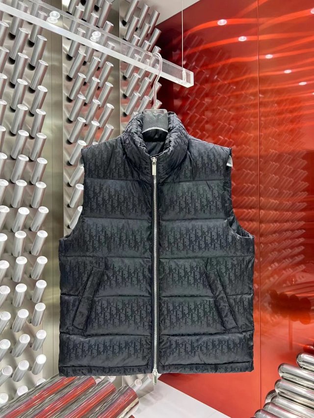 Dior Down Vest: seller detail photo 4