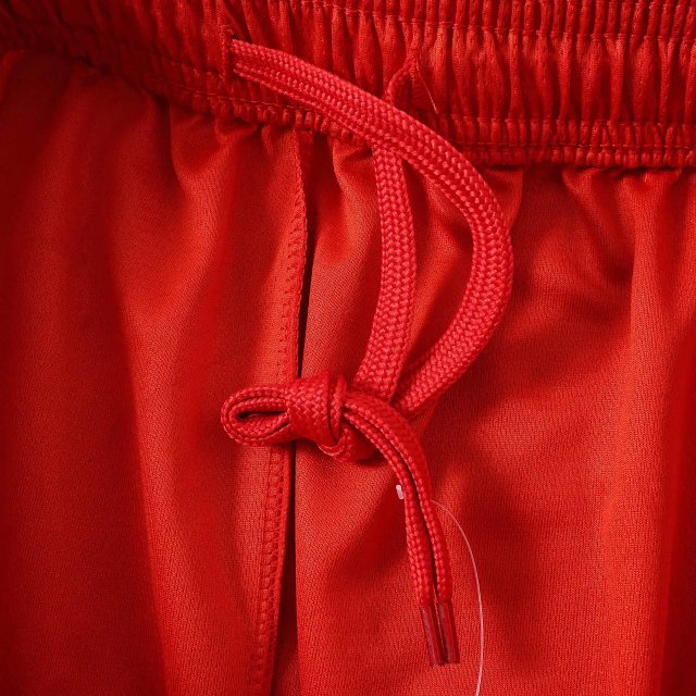 2026 Switzerland Player Version Shorts: seller detail photo 5