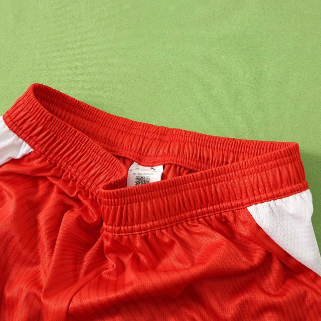 2026 Switzerland Player Version Shorts: seller detail photo 4