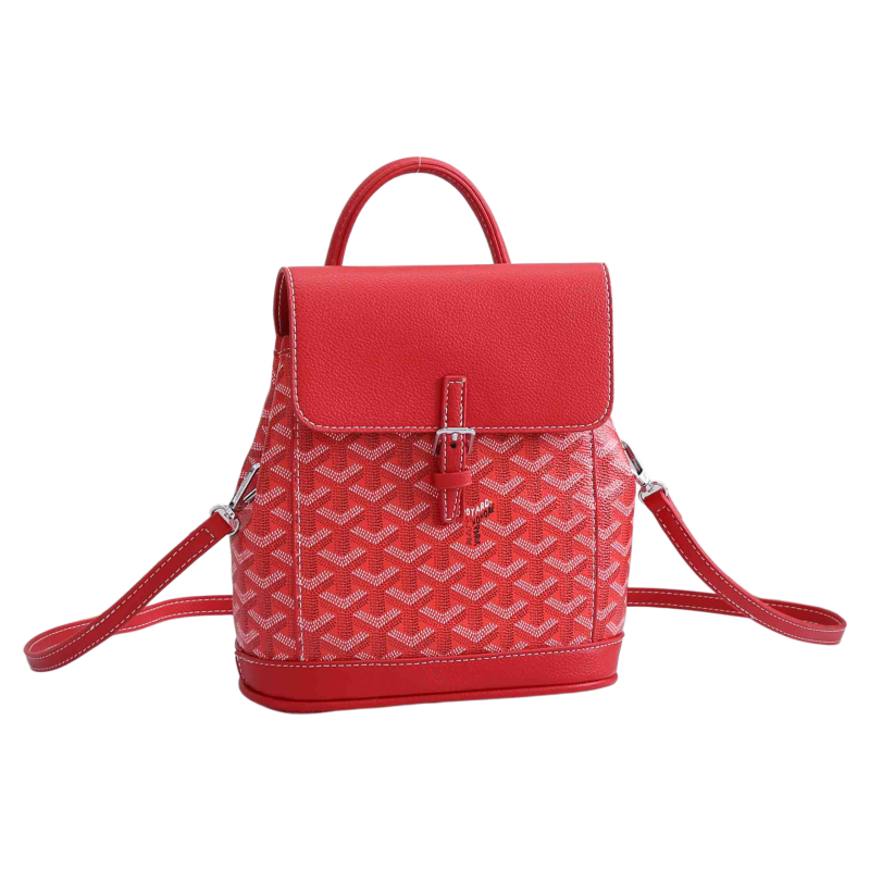 Goyard Bag