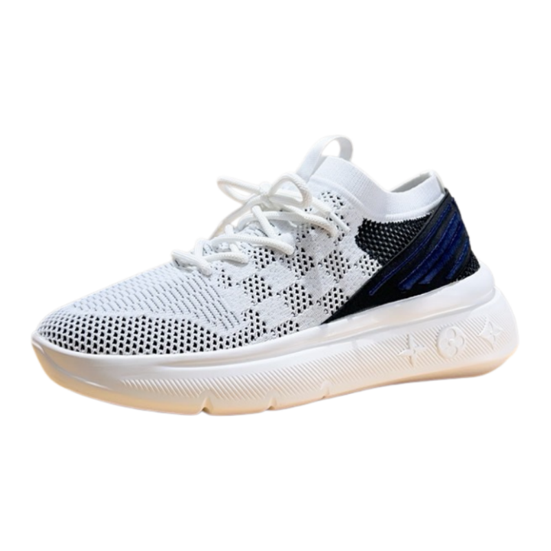Louis Vuitton Shoes